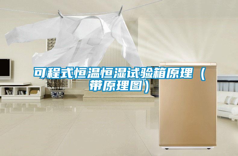 可程式恒溫恒濕試驗(yàn)箱原理(帶原理圖)