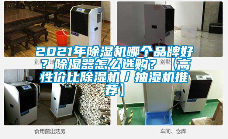 2021年除濕機(jī)哪個(gè)品牌好？除濕器怎么選購？【高性價(jià)比除濕機(jī)／抽濕機(jī)推薦】