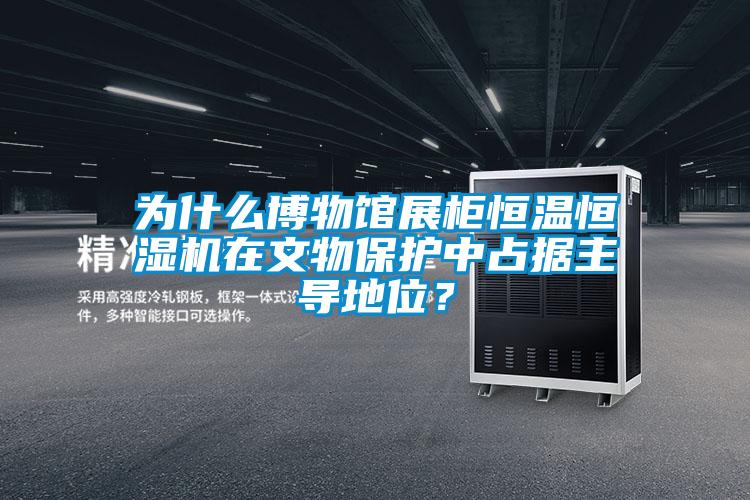 為什么博物館展柜恒溫恒濕機(jī)在文物保護(hù)中占據(jù)主導(dǎo)地位?
