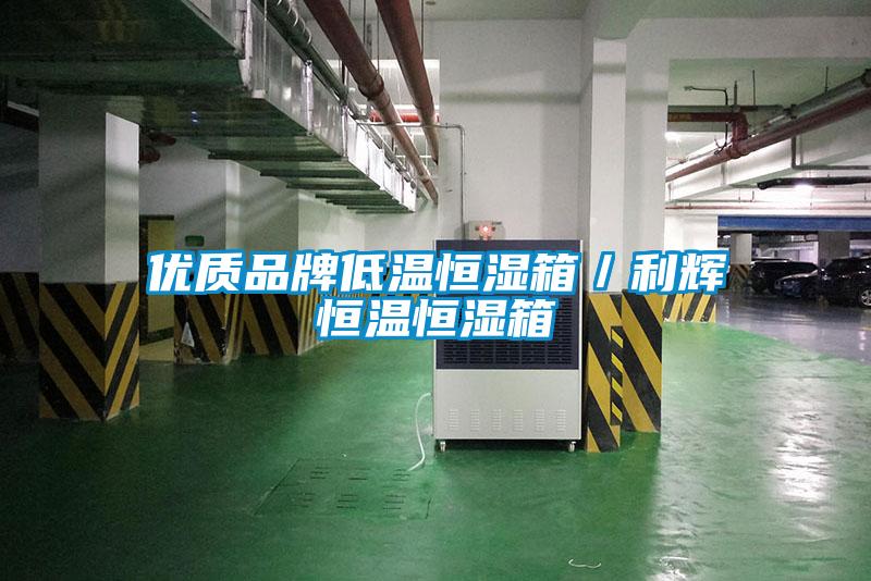 優(yōu)質(zhì)品牌低溫恒濕箱/利輝恒溫恒濕箱