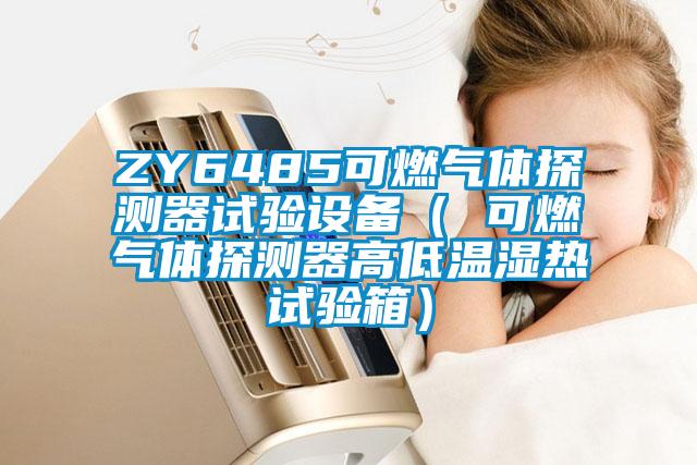 ZY6485可燃氣體探測器試驗設(shè)備( 可燃氣體探測器高低溫濕熱試驗箱)