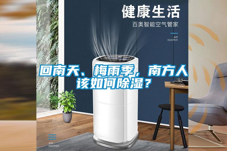 回南天、梅雨季，南方人該如何除濕？