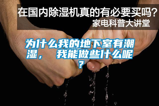 為什么我的地下室有潮濕， 我能做些什么呢？
