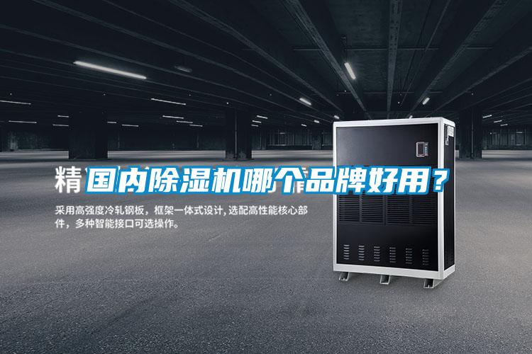 國內(nèi)除濕機(jī)哪個品牌好用？