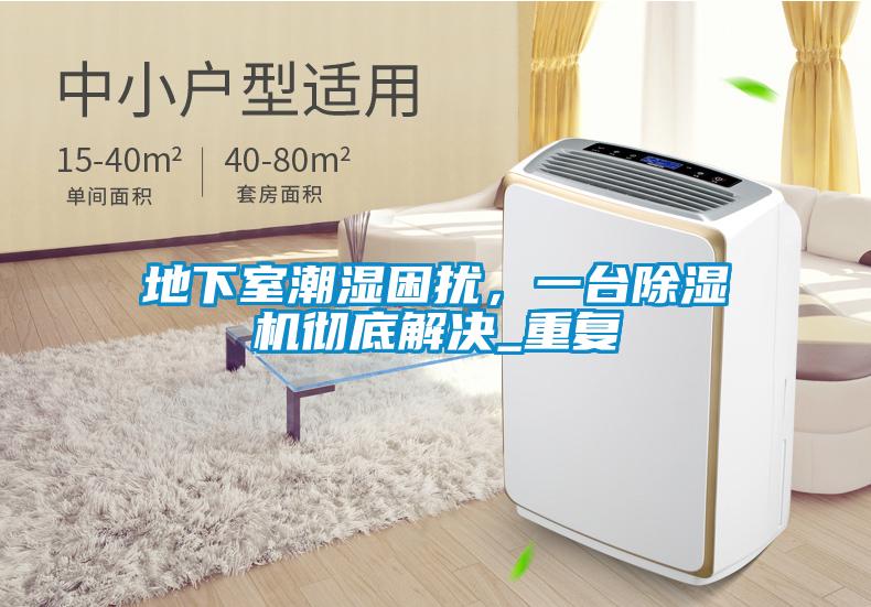 地下室潮濕困擾，一臺(tái)除濕機(jī)徹底解決_重復(fù)