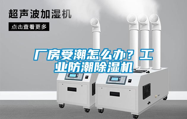 廠房受潮怎么辦?工業(yè)防潮除濕機(jī)