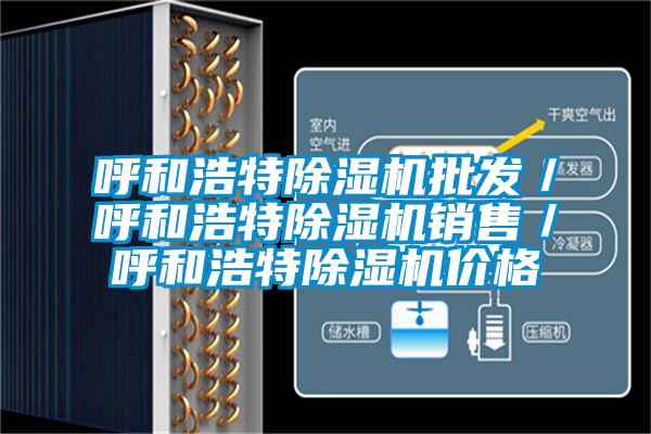 呼和浩特除濕機(jī)批發(fā)/呼和浩特除濕機(jī)銷售/呼和浩特除濕機(jī)價格