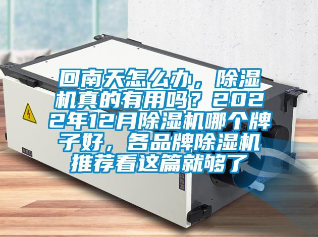 回南天怎么辦，除濕機真的有用嗎？2022年12月除濕機哪個牌子好，各品牌除濕機推薦看這篇就夠了