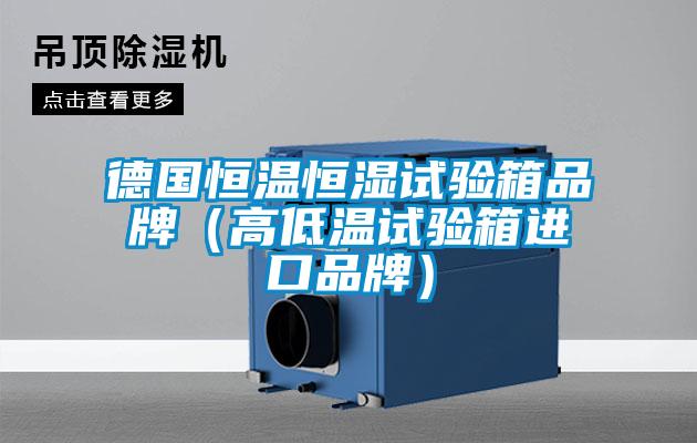 德國(guó)恒溫恒濕試驗(yàn)箱品牌(高低溫試驗(yàn)箱進(jìn)口品牌)