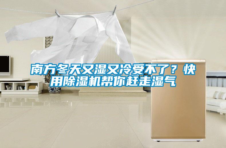 南方冬天又濕又冷受不了?快用除濕機幫你趕走濕氣