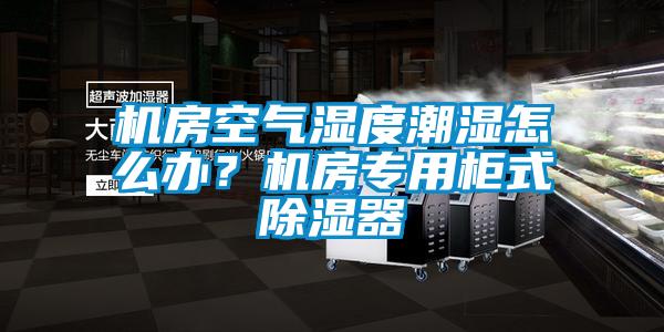 機(jī)房空氣濕度潮濕怎么辦？機(jī)房專用柜式除濕器