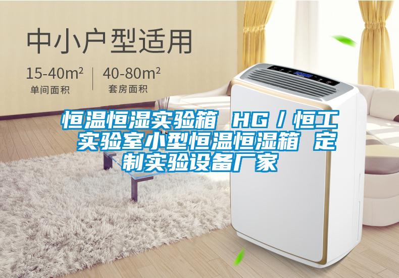 恒溫恒濕實驗箱 HG/恒工 實驗室小型恒溫恒濕箱 定制實驗設(shè)備廠家