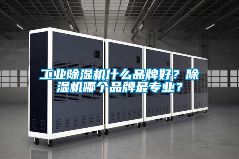 工業(yè)除濕機什么品牌好？除濕機哪個品牌最專業(yè)？