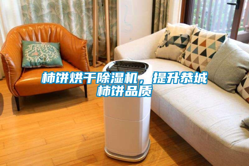 柿餅烘干除濕機,提升恭城柿餅品質(zhì)