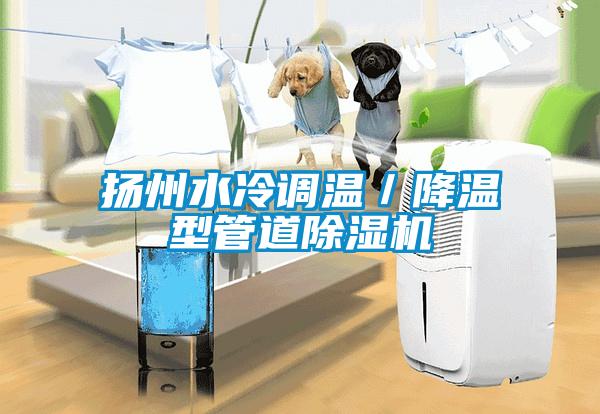揚州水冷調溫/降溫型管道除濕機