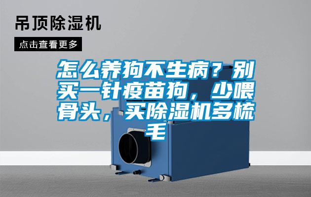 怎么養(yǎng)狗不生病？別買一針疫苗狗，少喂骨頭，買除濕機(jī)多梳毛