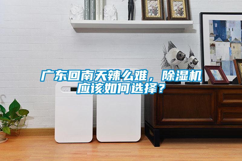 廣東回南天辣么難，除濕機(jī)應(yīng)該如何選擇？