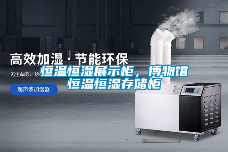 恒溫恒濕展示柜，博物館恒溫恒濕存儲(chǔ)柜