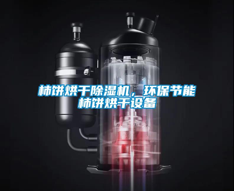 柿餅烘干除濕機，環(huán)保節(jié)能柿餅烘干設(shè)備