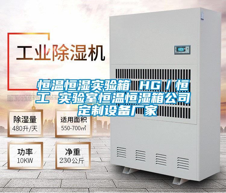 恒溫恒濕實(shí)驗(yàn)箱 HG/恒工 實(shí)驗(yàn)室恒溫恒濕箱公司 定制設(shè)備廠家