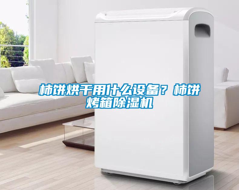 柿餅烘干用什么設(shè)備?柿餅烤箱除濕機(jī)
