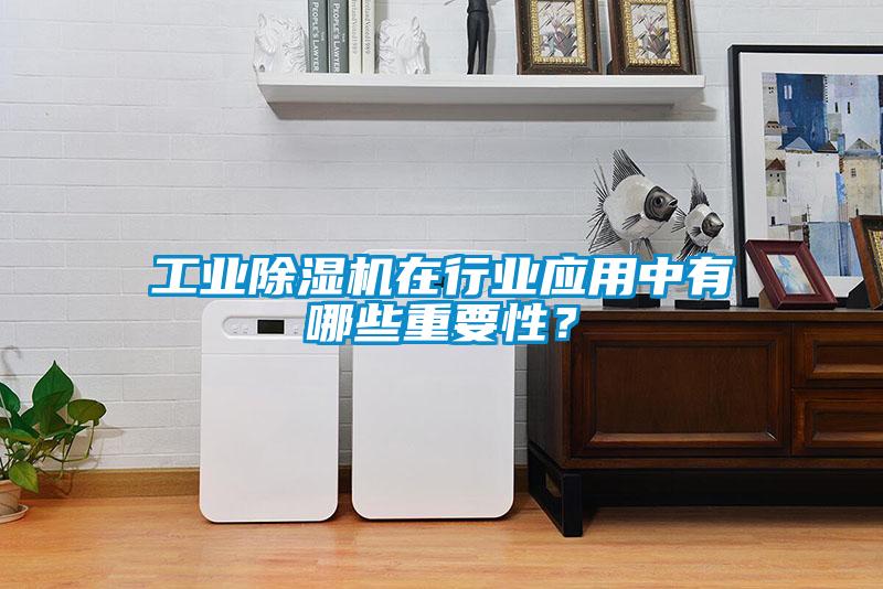 工業(yè)除濕機在行業(yè)應(yīng)用中有哪些重要性？