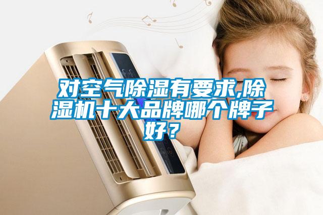 對空氣除濕有要求,除濕機十大品牌哪個牌子好？