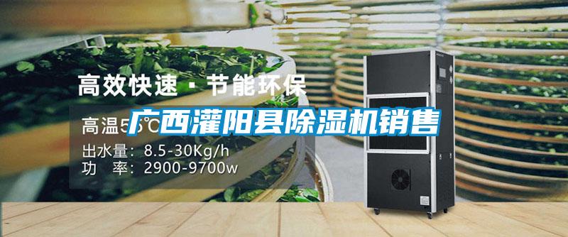 廣西灌陽(yáng)縣除濕機(jī)銷售