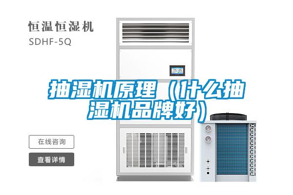 抽濕機(jī)原理(什么抽濕機(jī)品牌好)