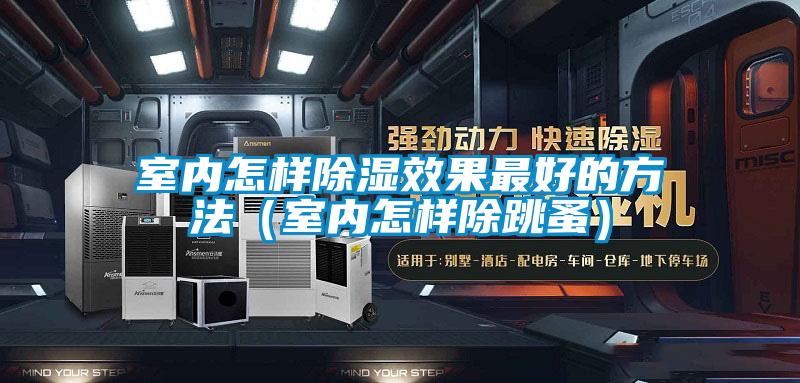 室內(nèi)怎樣除濕效果最好的方法(室內(nèi)怎樣除跳蚤)