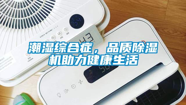 潮濕綜合癥,品質(zhì)除濕機(jī)助力健康生活