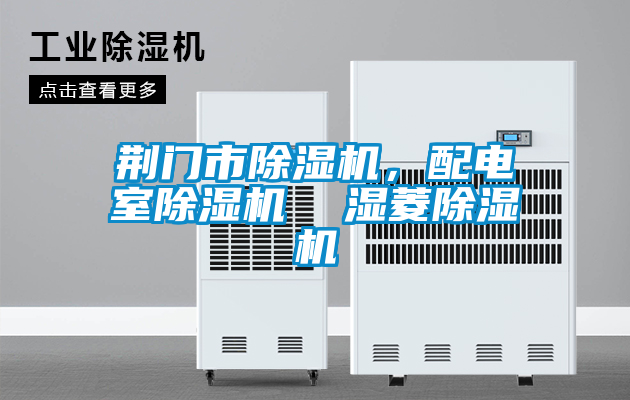 荊門(mén)市除濕機(jī)，配電室除濕機(jī)  濕菱除濕機(jī)