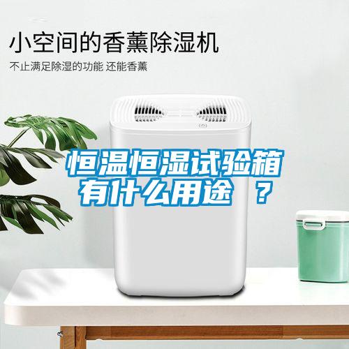 恒溫恒濕試驗(yàn)箱有什么用途 ？
