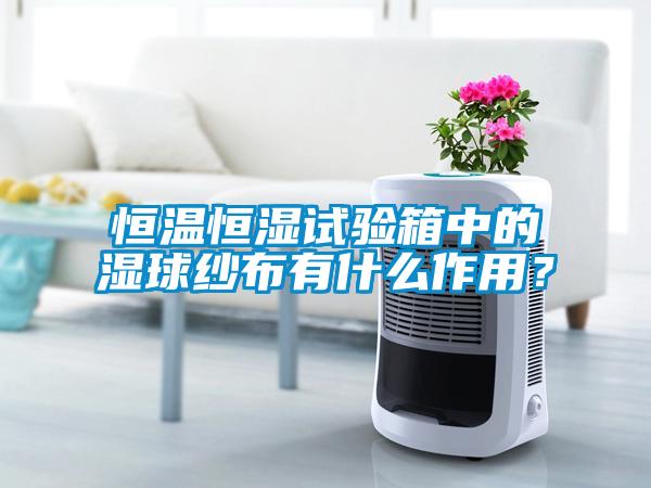 恒溫恒濕試驗箱中的濕球紗布有什么作用？