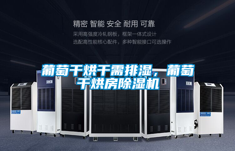 葡萄干烘干需排濕，葡萄干烘房除濕機(jī)