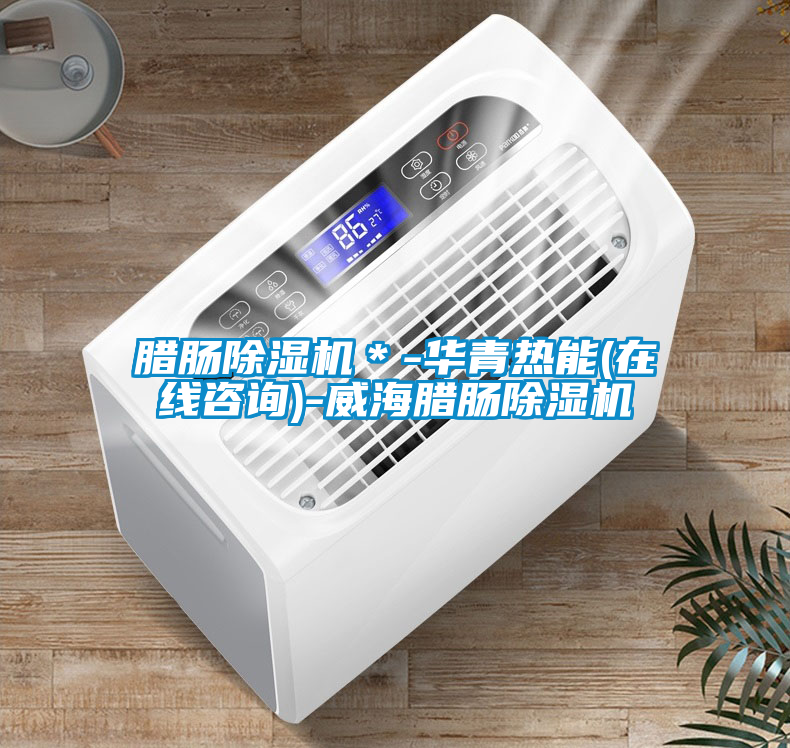 臘腸除濕機(jī)*-華青熱能(在線咨詢)-威海臘腸除濕機(jī)