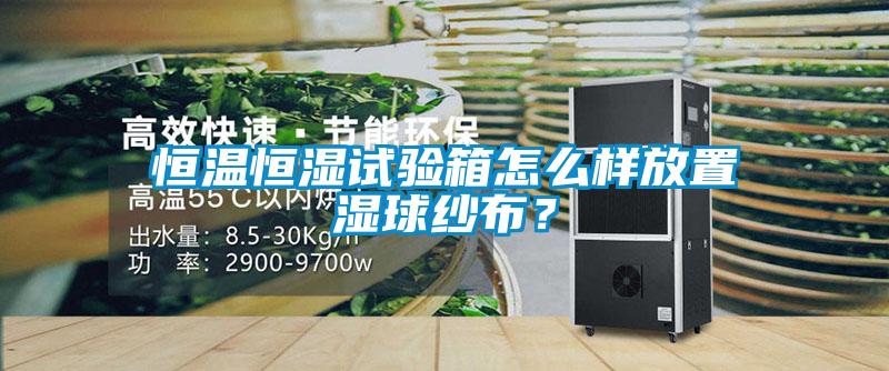 恒溫恒濕試驗箱怎么樣放置濕球紗布？
