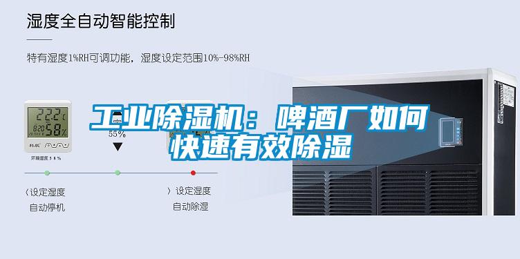 工業(yè)除濕機(jī):啤酒廠如何快速有效除濕