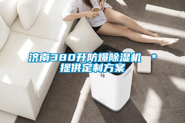 濟(jì)南380升防爆除濕機(jī) *提供定制方案