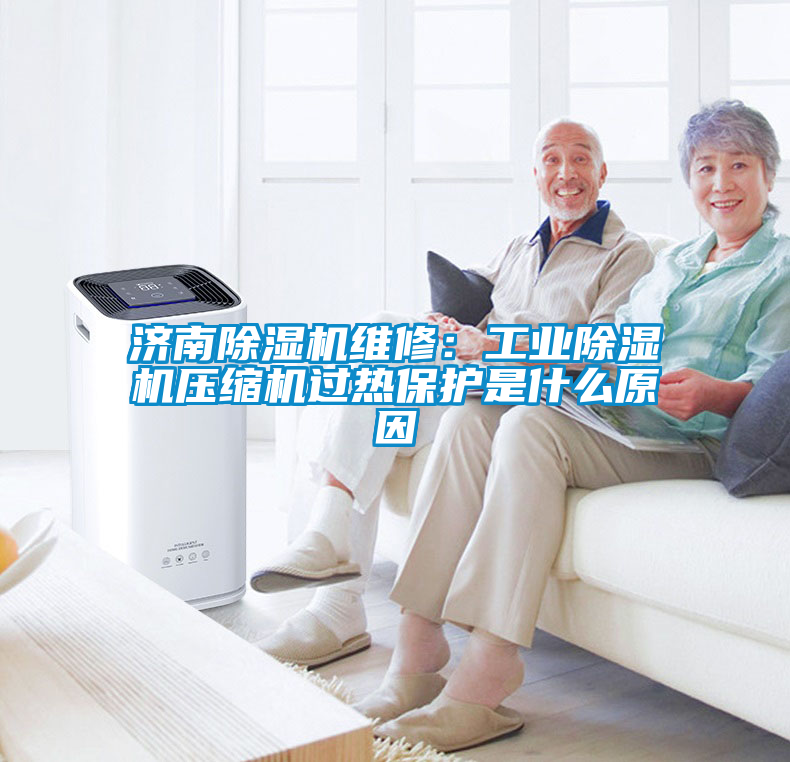 濟南除濕機維修:工業(yè)除濕機壓縮機過熱保護是什么原因