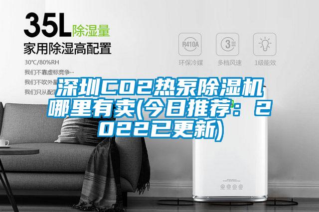深圳CO2熱泵除濕機(jī)哪里有賣(今日推薦:2022已更新)