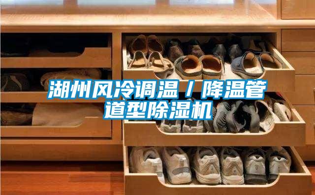 湖州風冷調(diào)溫/降溫管道型除濕機