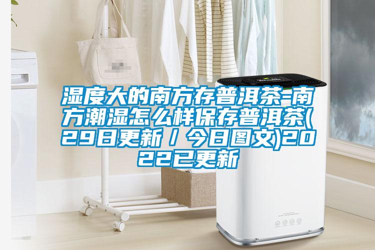 濕度大的南方存普洱茶-南方潮濕怎么樣保存普洱茶(29日更新/今日圖文)2022已更新