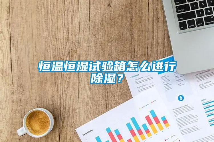 恒溫恒濕試驗箱怎么進行除濕?