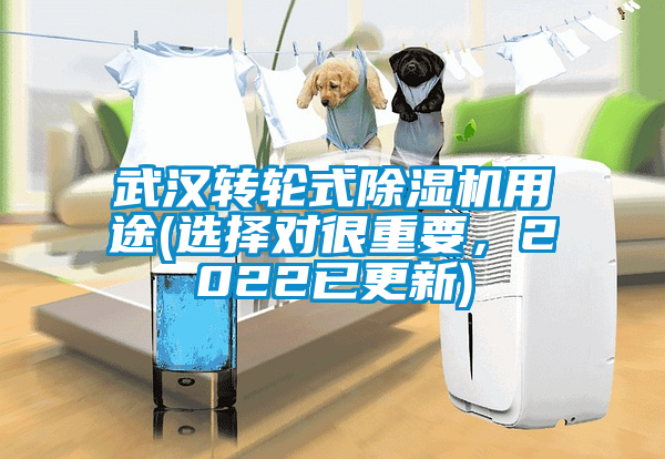 武漢轉(zhuǎn)輪式除濕機(jī)用途(選擇對(duì)很重要,2022已更新)