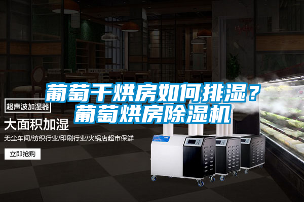葡萄干烘房如何排濕？葡萄烘房除濕機(jī)