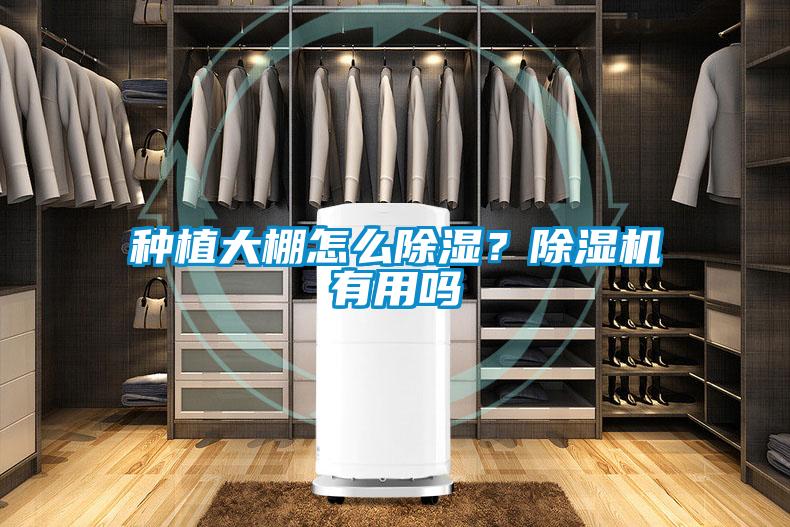 種植大棚怎么除濕？除濕機有用嗎