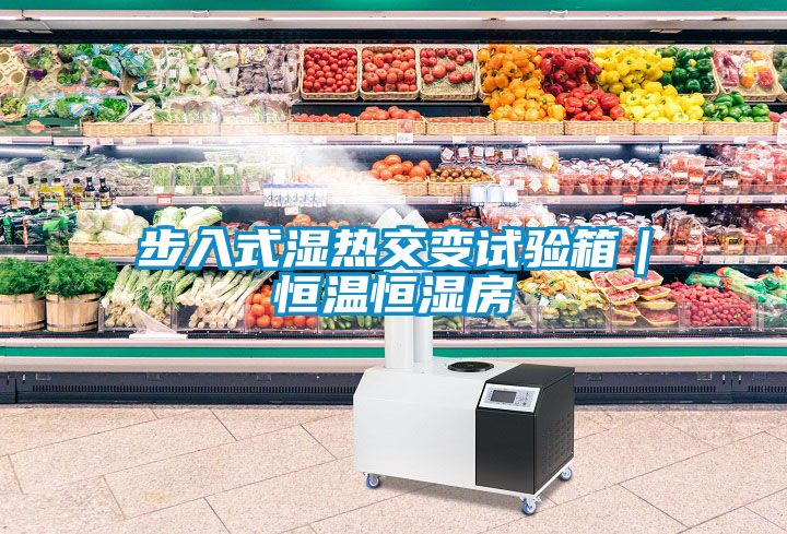 步入式濕熱交變試驗箱|恒溫恒濕房