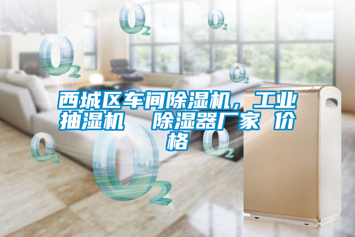 西城區(qū)車間除濕機(jī)，工業(yè)抽濕機(jī)  除濕器廠家 價(jià)格