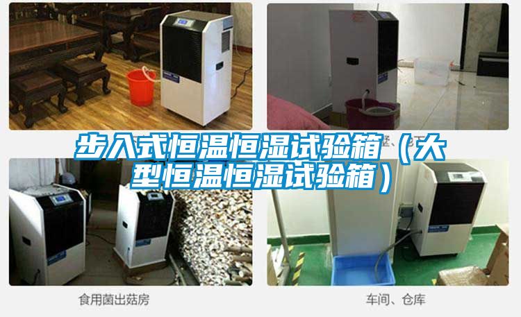步入式恒溫恒濕試驗箱(大型恒溫恒濕試驗箱)